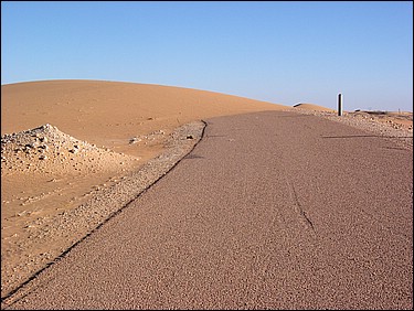 DSCN0483.JPG