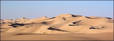 DSCN0485.JPG