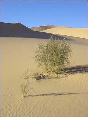 DSCN0495.JPG