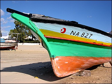 DSCN0210.JPG