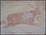 DSCN0043.JPG